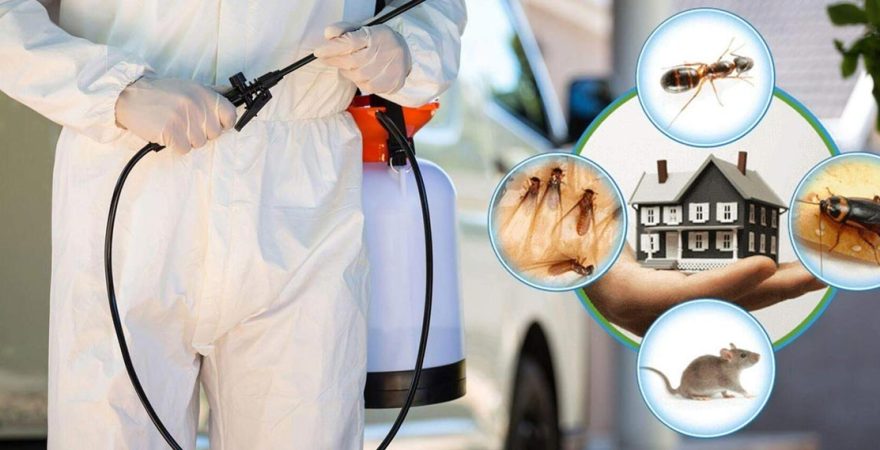 Salihli Böcek İlaçlama