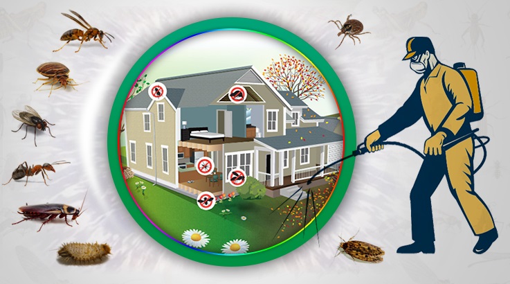 Salihli Böcek İlaçlama