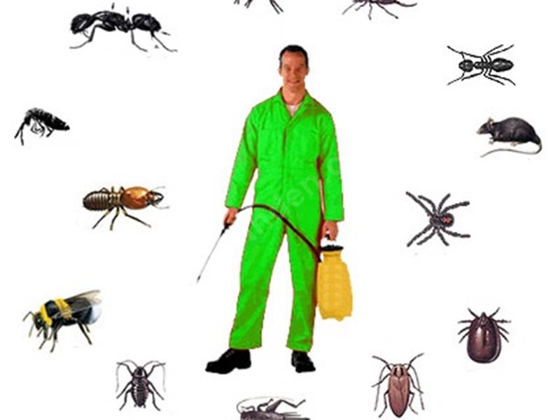 Salihli Böcek İlaçlama